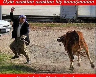 İşte birbirinden komik kurban capsleri