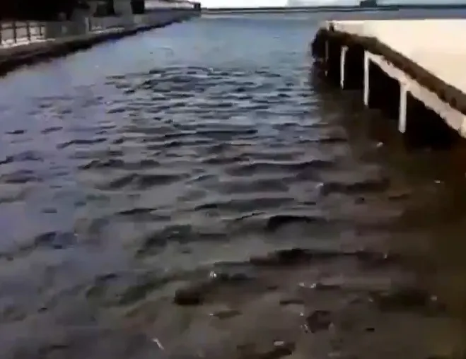 CHP İzmir’in geleceğini zehirliyor