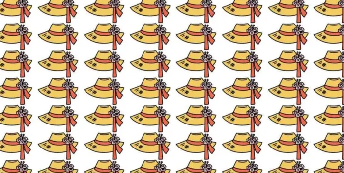 Deneyen 100 kişiden 99'u yapamıyor! Yalnızca IQ'su 130 olanlar görüyor: Resimdeki farklı şapkayı bulan dahi sayılıyor-2