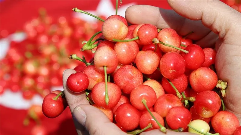 ibrahim-saracoglu-gaz-agrisi-cekenler-icin-acikladi-bu-cayi-icenin-agrilari-hemen-kesiliyor-1724156084128.jpg İbrahim Saraçoğlu gaz ağrısı çekenler için açıkladı! Bu çayı içenin ağrıları hemen kesiliyor-2