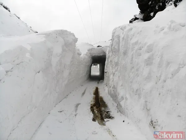 Ağrı'da çığ düşen köy yolunda ulaşım "kardan tünel" ile sağlanıyor - 5