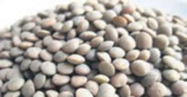 Vitamin deposu mercimeğin faydaları nelerdir?