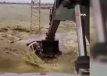 Görüntülerin her saniyesi korkunç!