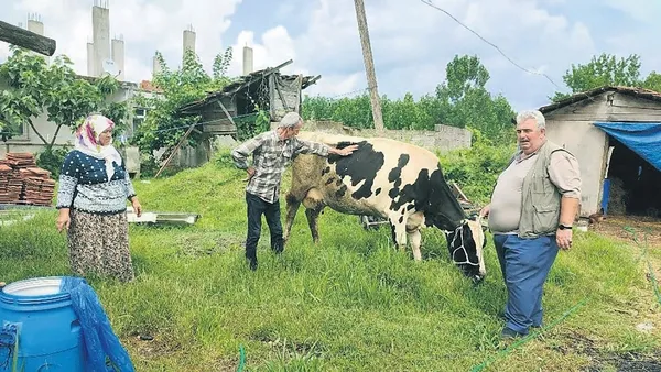 Türkiye, Karabağ'da kardeşlerini yalnız bırakmadı: Azerbaycan ekibi de Ege'de alevlerin üzerine atladı-5