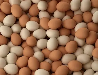 Çok güzelsin yumurta