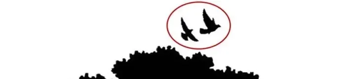 120-iqnun-altinda-olan-bulamiyor-agactaki-4-hayvani-25-saniyede-bulan-super-zeka-sayiliyor-1720618050371.jpg 120 IQ'nun altında olan bulamıyor! Ağaçtaki 4 hayvanı 25 saniyede bulan süper zeka sayılıyor-3