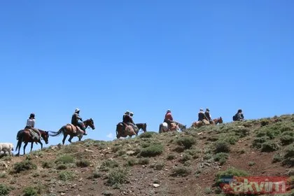 Hakkari’de berivanlar her gün süt sağmak için at sırtında 10 kilometre yolculuk yapıyor