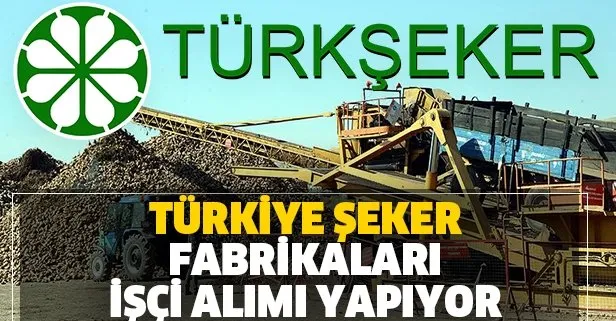 Türkiye Şeker Fabrikaları yüzlerce işçi alımı yapıyor! İşte İŞKUR şeker fabrikası başvuru koşulları