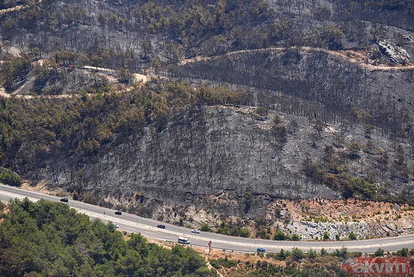 Bir izmaritin bedeli 50 hektarlık alan oldu! İşte İzmir'deki yangın faciasının çıkış anı - 4