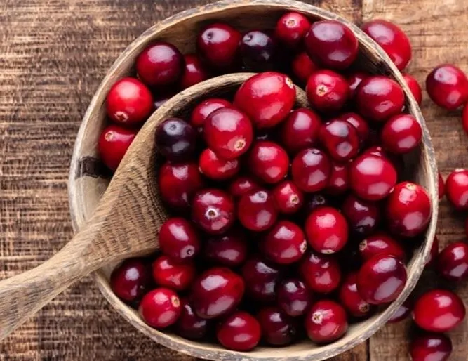 Enfeksiyona kızılcık