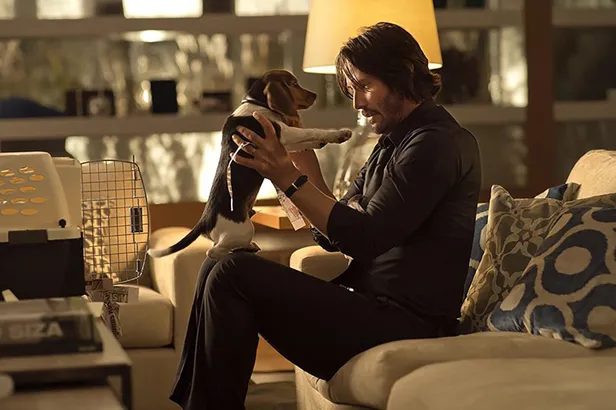 john-wick-film-serisini-olusturan-uc-filmde-keanu-reevesin-canlandirdigi-john-wick-toplamda-kac-kisiyi-etkisiz-hale-getirmistir-1633118249043.jpg