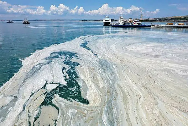YÖK'ten flaş karar! Müsilajı araştırana burs!-7