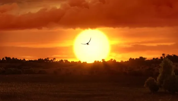 AK Parti'den çok ses getirecek yeni reklam filmi