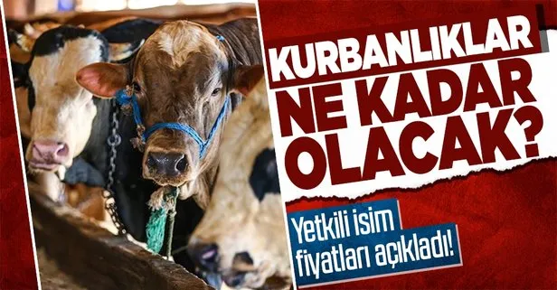 Kurban fiyatları ne kadar? 2022 küçükbaş ve büyükbaş kurbanlık fiyatları kaç lira? Yetkili isim açıkladı