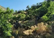 Son dakika: MSB duyurdu! PKKya Pençe darbesi! 2 terörist etkisiz hale getirildi!