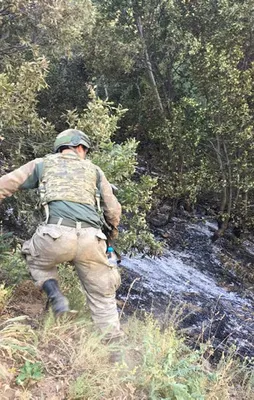 Bitlis'te PKK'ya ağır darbe