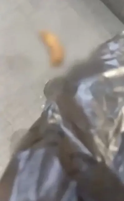 siyasi-husumetin-boylesi-chpliler-chp-istanbul-il-binasindaki-makam-koltuguna-iseyip-diskiladi-1763030909457.jpeg Siyasi husumet "pis"leşti! CHP'liler CHP İstanbul İl Binası'na işeyip dışkıladı: Gürsel Tekin "bu ilk değil" dedi-2