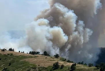 Konya’da ormanlık alanda yangın