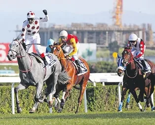 Ayrıl da gel Graystorm