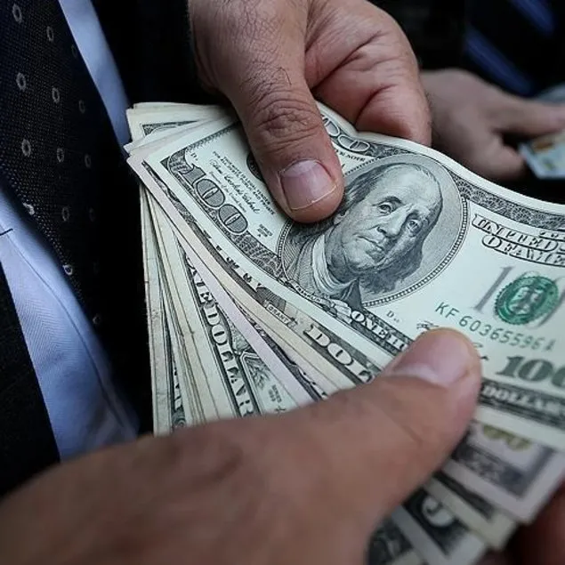 Dolar beklentisi 43,81 TL