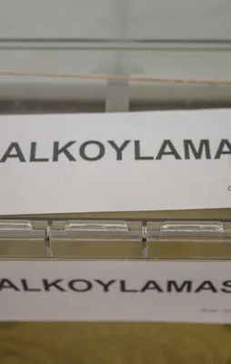 Aranan FETÖ'cü sandık başında yakalandı