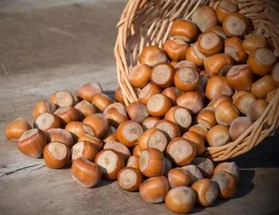 5 Mart 2021: Fındık fiyatları ne kadar oldu?