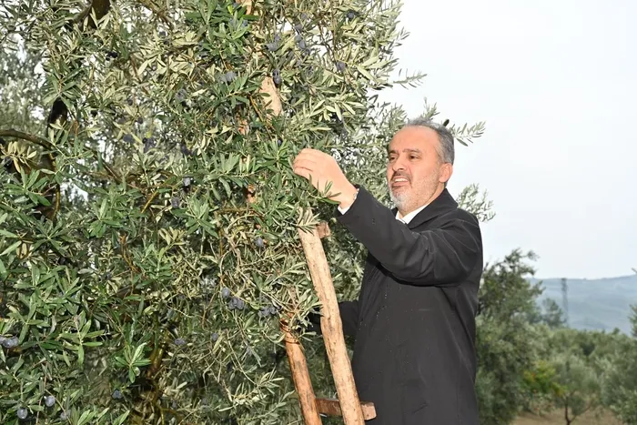 Toprak, Büyükşehir’le bereketleniyor-3