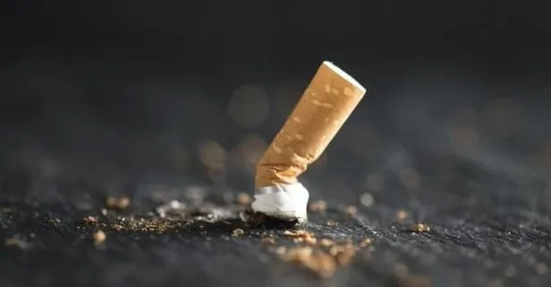 2020 Eylül zamlı sigara fiyatları listesi! Sigaralar kaç TL, ne kadar oldu? Marlboro, Parliament Camel, Winston, Muratti, LM, Kent güncel fiyatları....