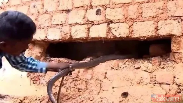 Duvarın içinden gelen seslerden ilallah etti sonunda paramparça etti! Gördükleri karşısında kalbi yerinden çıkacaktı - 8