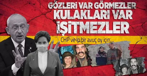 Terörist ile fotoğrafları ortaya çıkan HDP’li vekile sessiz kalan muhalefete sert tepki: Bir avuç oy için...