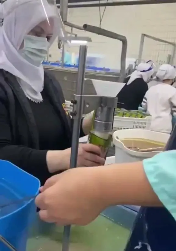 SON DAKİKA: Ton balığı üretim firmasında çekilen elle paketleme görüntüleriyle ilgili firmadan açıklama geldi!-5