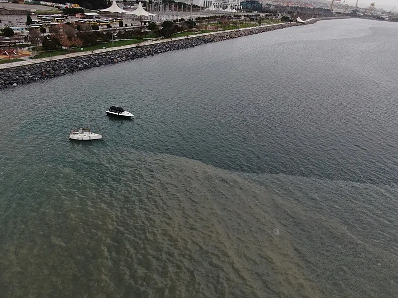 Pendik sahilinde çevre felaketi: Deniz kirli koku yoğun-3