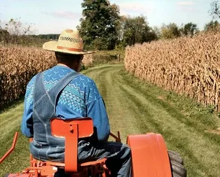 Çiftçilere destek ödemeleri başladı!