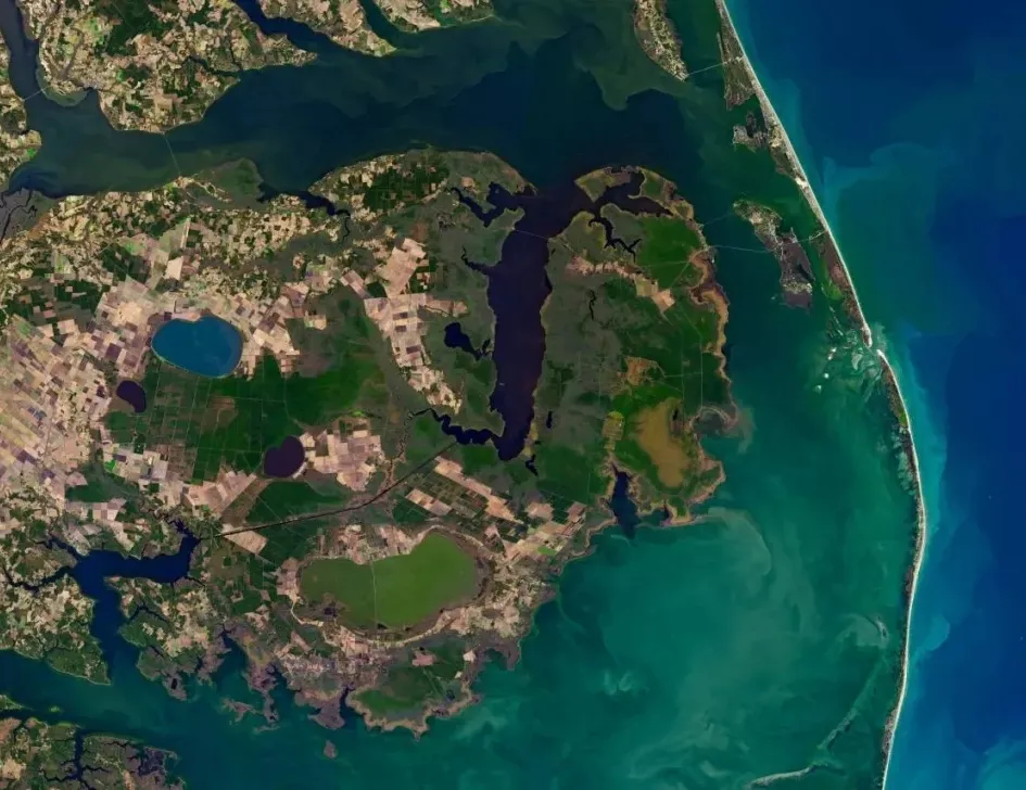 Bilim insanları şokta!