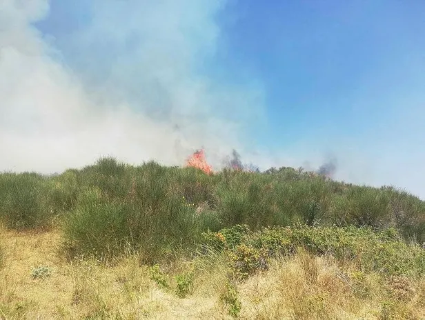 tekirdagda-yangin-5-hektar-makilik-zarar-gordu-1658498283498.jpeg Tekirdağ'da yangın! 5 hektar makilik zarar gördü-1