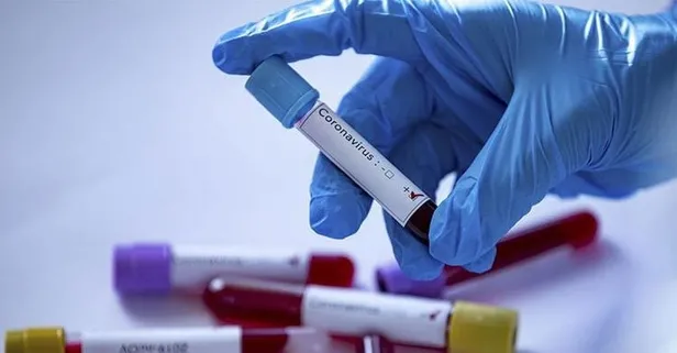 Dünyayı iyileştirdik