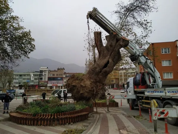 siddetli-lodos-bursa-kestelde-270-yillik-cinar-agacini-kokunden-soktu-1638176714056.jpg Şiddetli lodos Bursa Kestel'de 270 yıllık çınar ağacını kökünden söktü-3