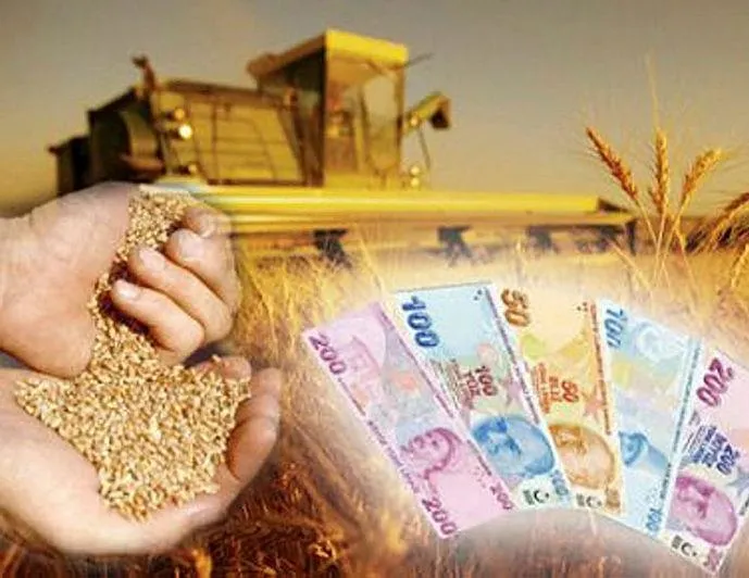 3 milyar lira hibe desteği açıklandı!