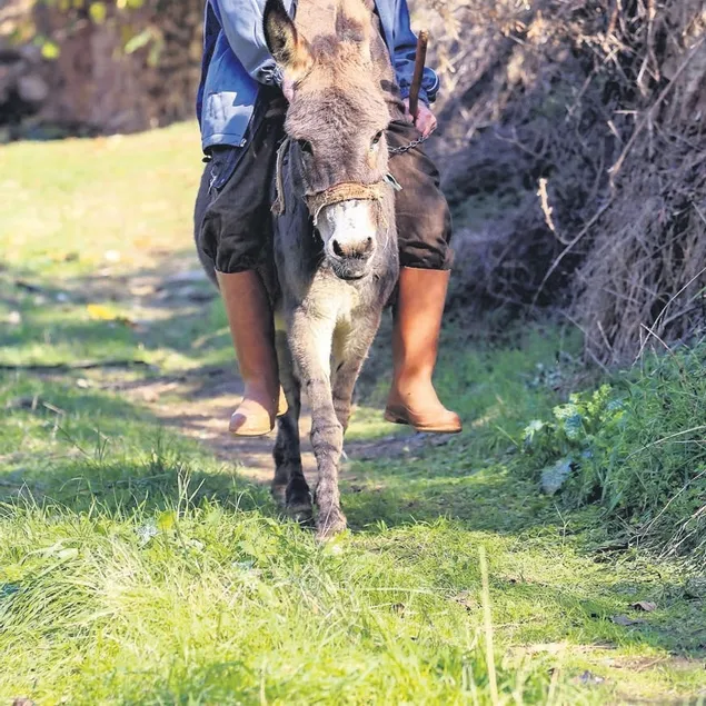 Raif dedenin gözü: Eşek Magare