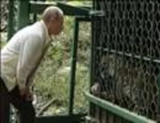 Putin Leoparlarla Birlikte