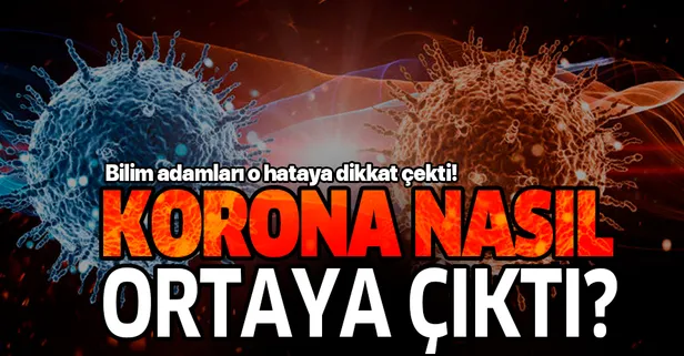 Son dakika: Koronavirüs nasıl ortaya çıktı! Bilim insanlarından dikkat çeken açıklama!