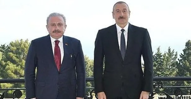 TBMM Başkanı Şentop, Aliyev ile görüştü