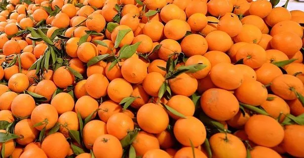 C vitamini deposu portakal faydaları nelerdir?