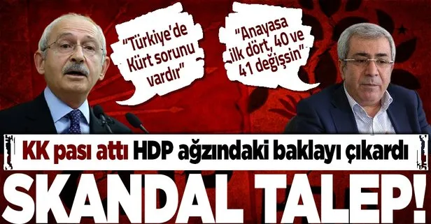 HDP’li vekilden skandal talep!