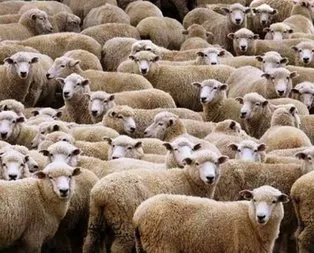 Tarih belli oldu! Nisanda başlıyor...