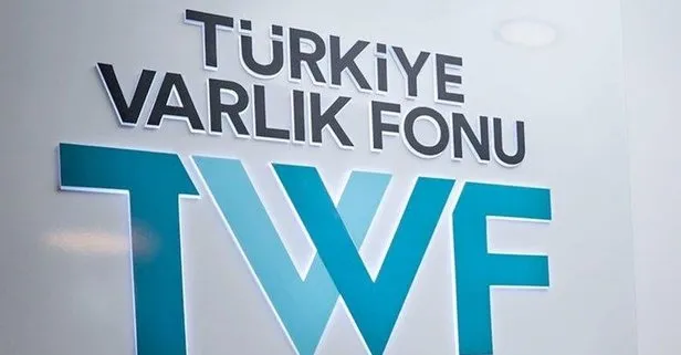 Türkiye Varlık Fonundan kamu bankalarının kontrolündeki sigorta şirketlerinin birleşmesine ilişkin açıklama