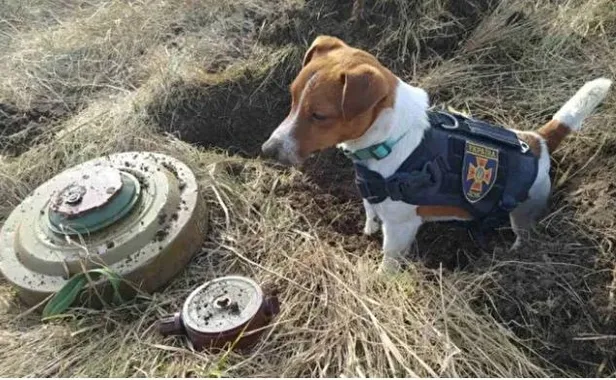 Ukrayna'da büyük tehlike! Zelenskiy açıkladı: Her yere mayın bırakmışlar!-4