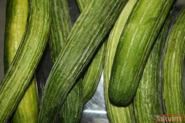 Onlar sıradan besinler değil bilim insanları da doğruladı! Peygamberimiz Hz.Muhammed'in insanlığa tavsiye ettiği yiyecekler - 45