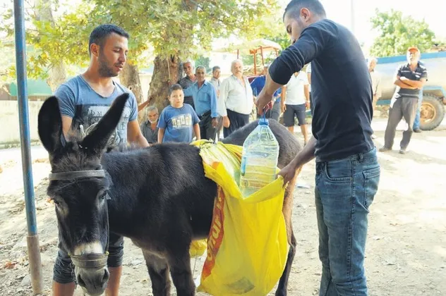 Eşek şakası