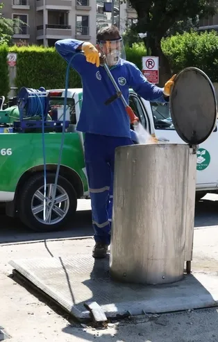 Sinekle kesintisiz mücadele